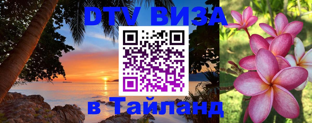 Сколько стоит DTV виза — актуальные цены, оформление даже без документов - 20.11.2025 